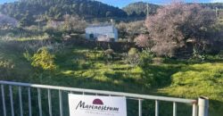 Terreno en venta en Avenida Dacio Darias