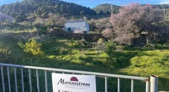 Terreno en venta en Avenida Dacio Darias