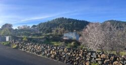 Terreno en venta en Avenida Dacio Darias