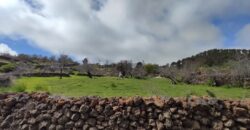 Terreno en venta en Avenida Dacio Darias