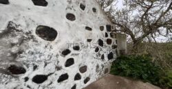 Finca rústica en venta en Camino Casas del Monte