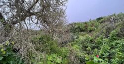 Finca rústica en venta en Camino Casas del Monte
