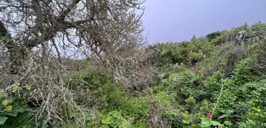 Finca rústica en venta en Camino Casas del Monte