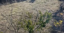 Terreno en venta en Calle Jarera Bajo