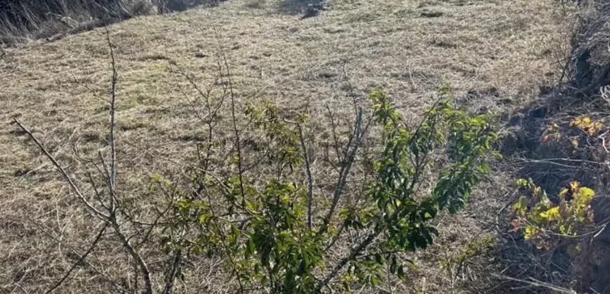 Terreno en venta en Calle Jarera Bajo